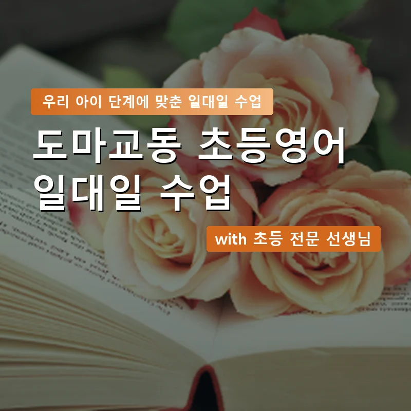 도마교동 초등학생영어회화 — 영과전 1:1 맞춤 수업 안내 이미지
