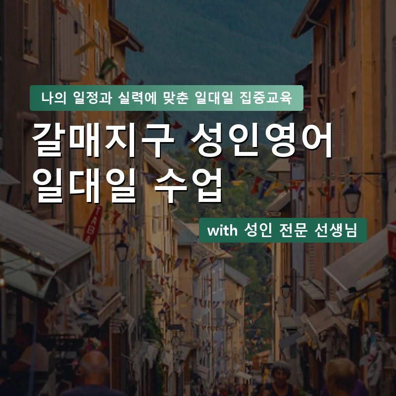 갈매지구 성인영어과외 — 영과전 1:1 맞춤 수업 안내 이미지