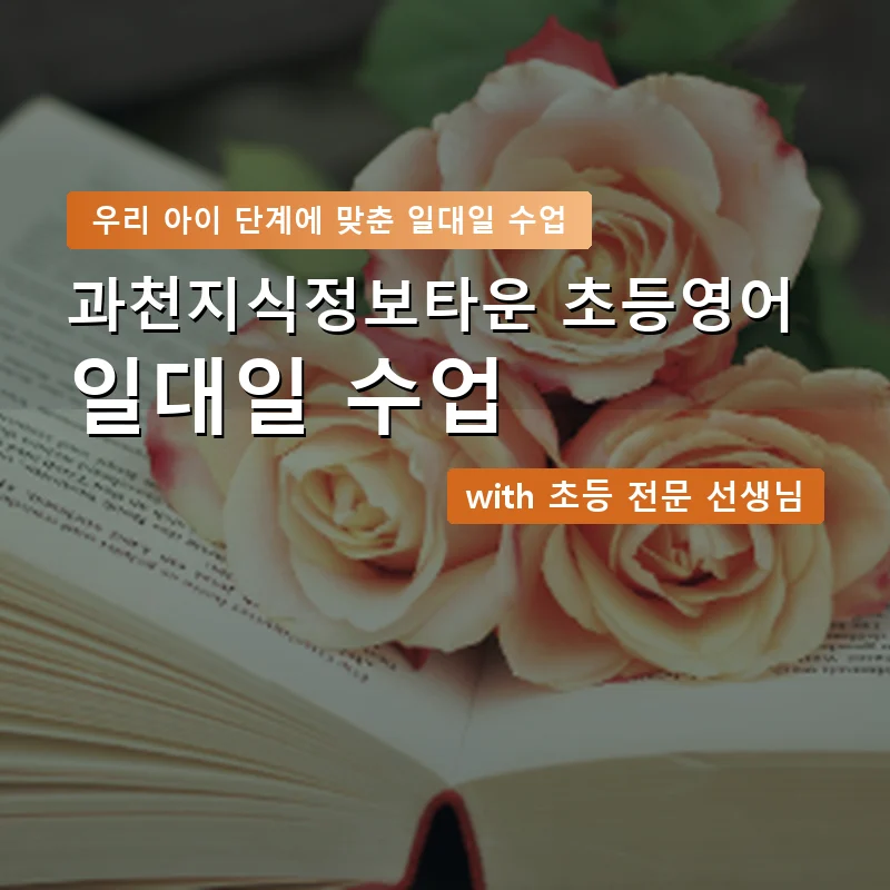 과천지식정보타운 초등학생영어회화 — 영과전 1:1 맞춤 수업 안내 이미지