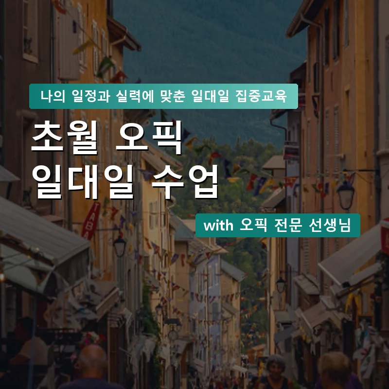 초월 오픽과외 — 영과전 1:1 맞춤 수업 안내 이미지