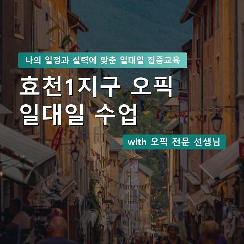 효천1지구 오픽과외 — 영과전 1:1 맞춤 수업 안내 이미지