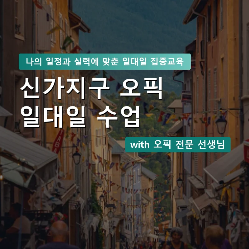 신가지구 오픽과외 — 영과전 1:1 맞춤 수업 안내 이미지