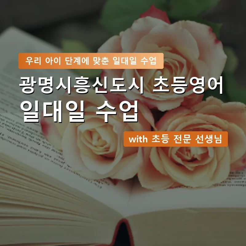 광명시흥신도시 초등학생영어회화 — 영과전 1:1 맞춤 수업 안내 이미지