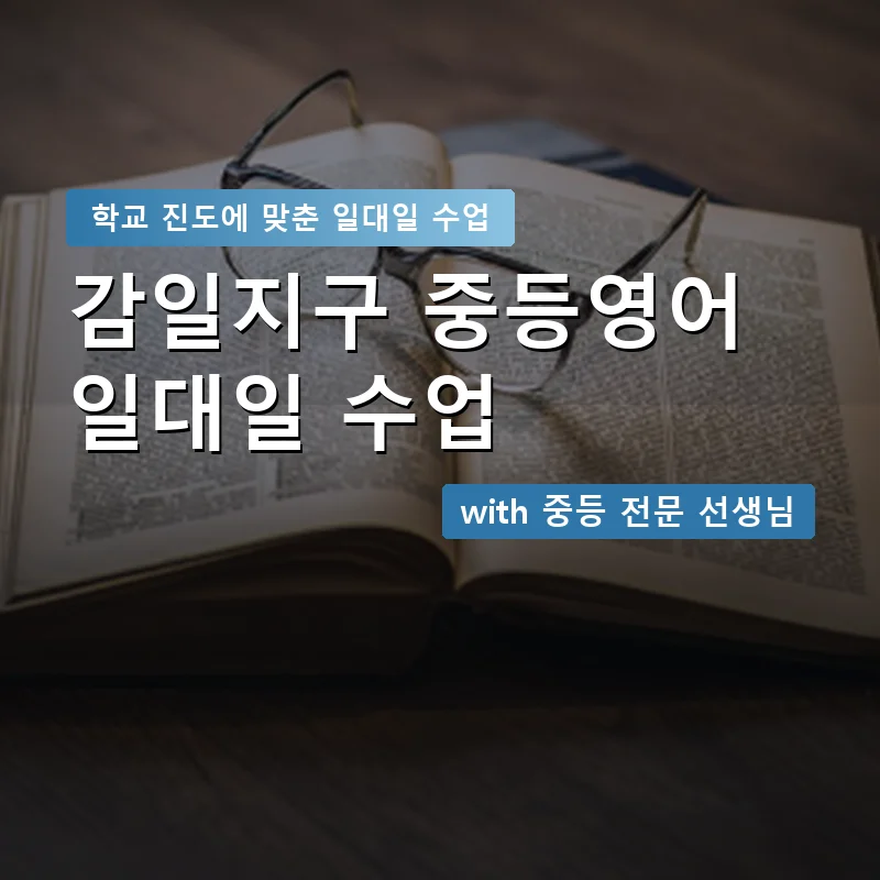 감일지구 중학생영어회화 — 영과전 1:1 맞춤 수업 안내 이미지