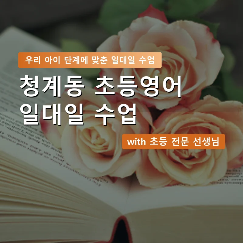 청계동 초등학생영어회화 — 영과전 1:1 맞춤 수업 안내 이미지