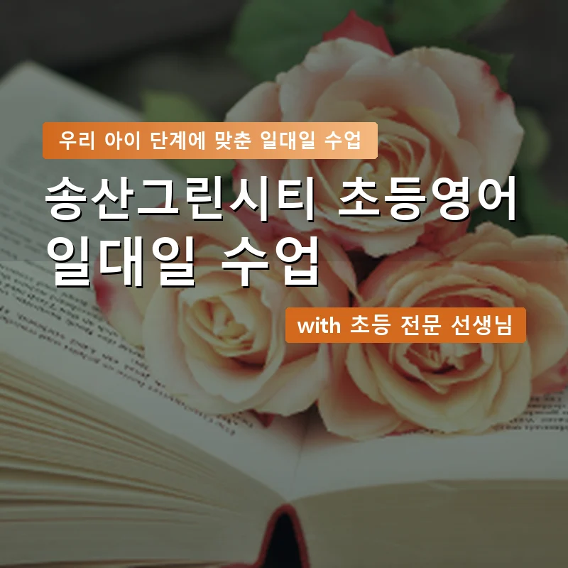 송산그린시티 초등학생영어회화 — 영과전 1:1 맞춤 수업 안내 이미지
