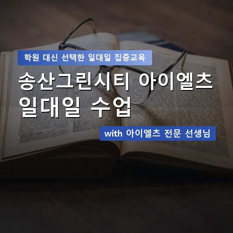 송산그린시티 아이엘츠학원 — 영과전 1:1 맞춤 수업 안내 이미지