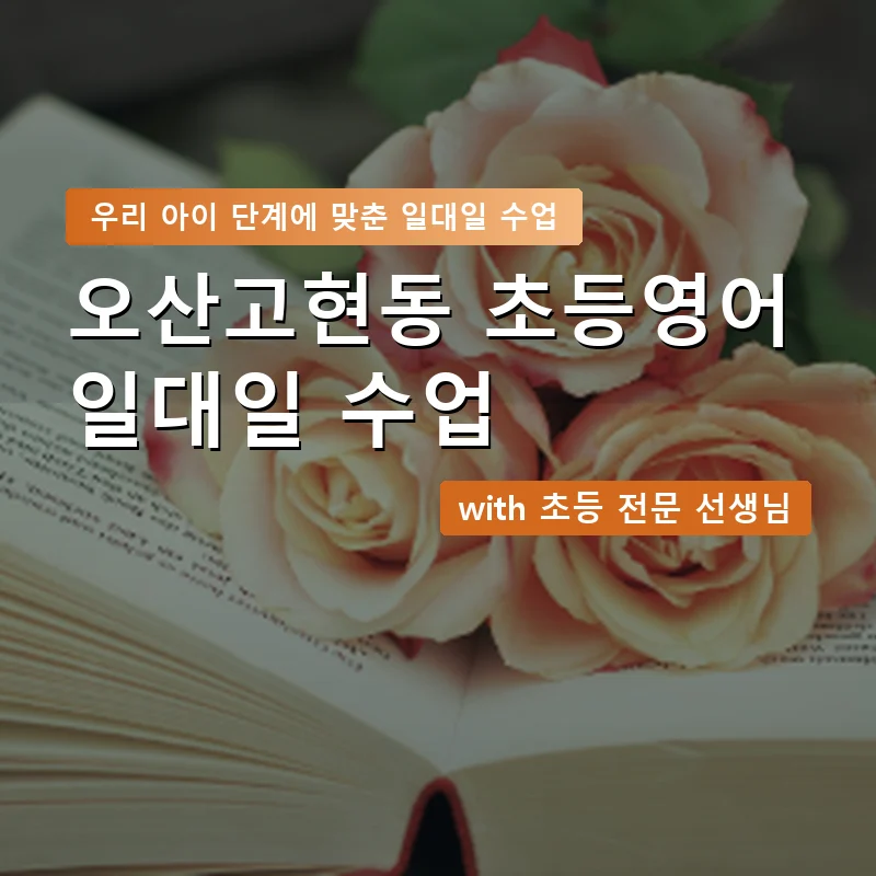 오산고현동 초등학생영어회화 — 영과전 1:1 맞춤 수업 안내 이미지