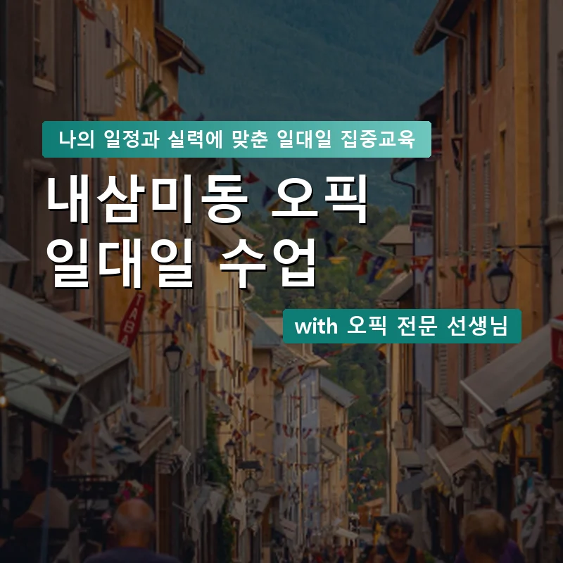 내삼미동 오픽과외 — 영과전 1:1 맞춤 수업 안내 이미지