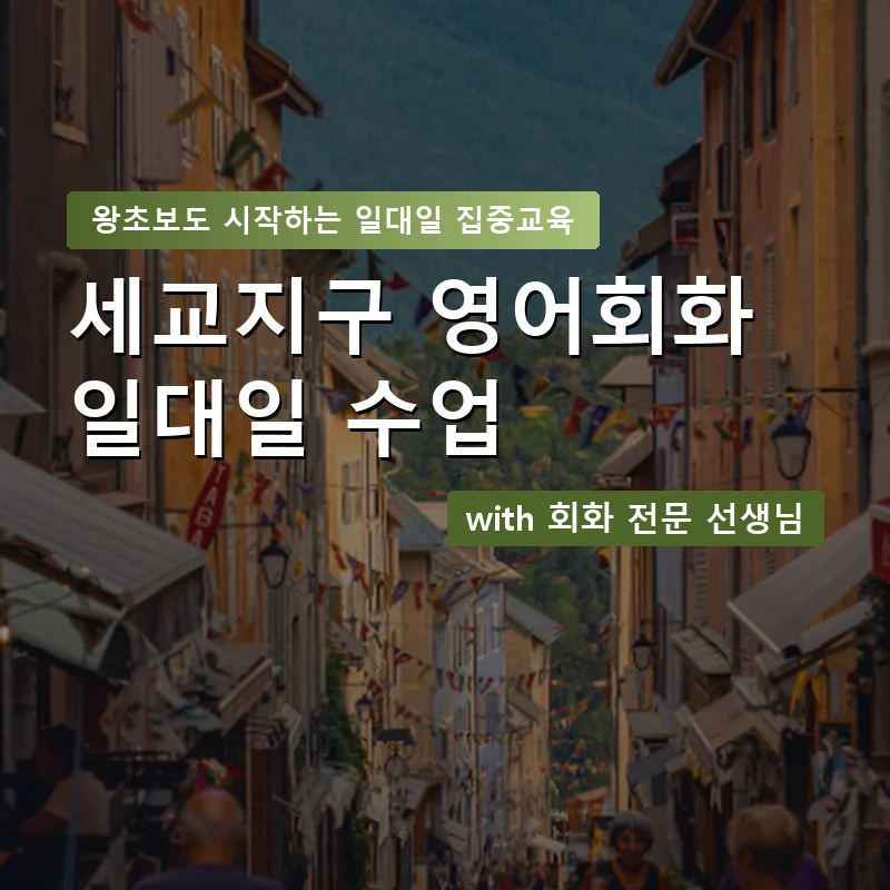 세교지구 1:1 영어회화과외 — 영과전 1:1 맞춤 수업 안내 이미지
