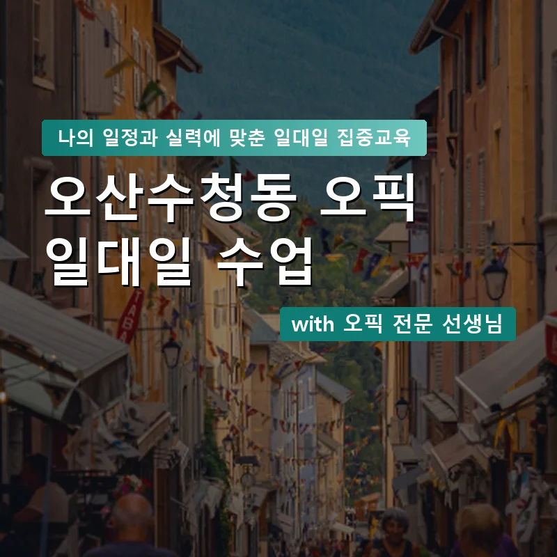 오산수청동 오픽과외 — 영과전 1:1 맞춤 수업 안내 이미지