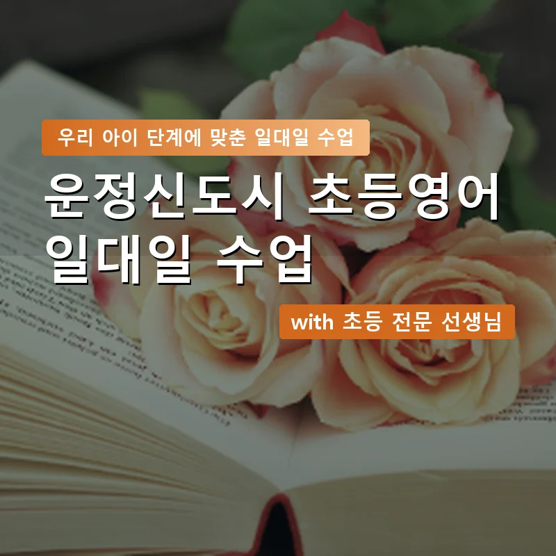 운정신도시 초등학생영어회화 — 영과전 1:1 맞춤 수업 안내 이미지