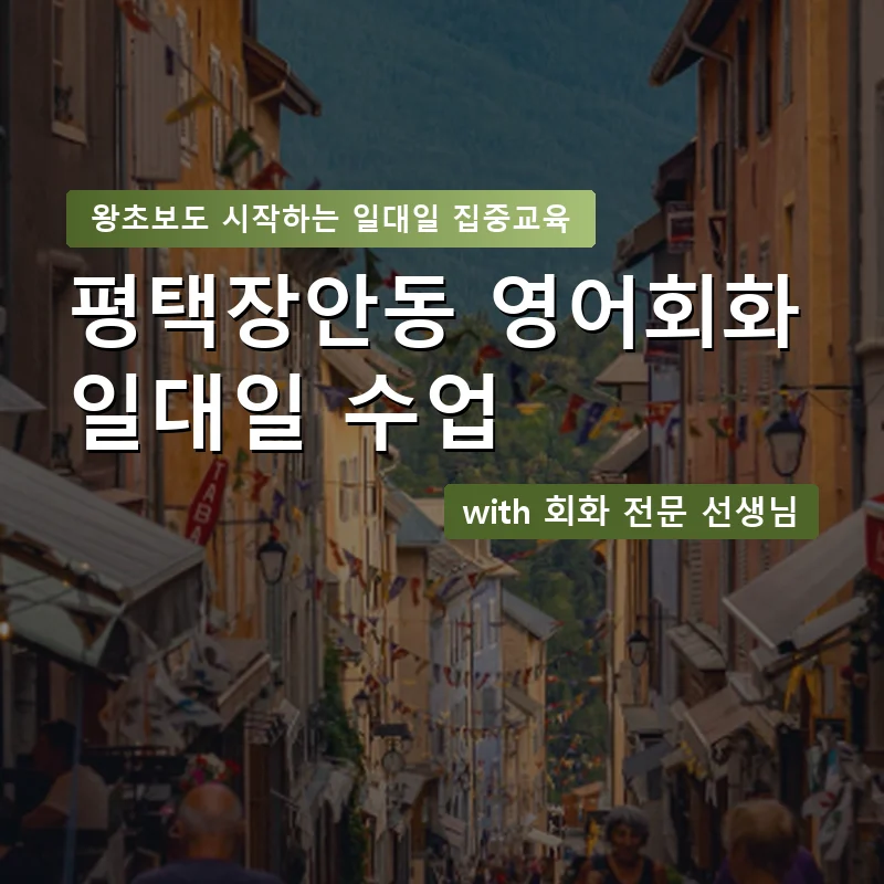 평택장안동 1:1 영어회화과외 — 영과전 1:1 맞춤 수업 안내 이미지