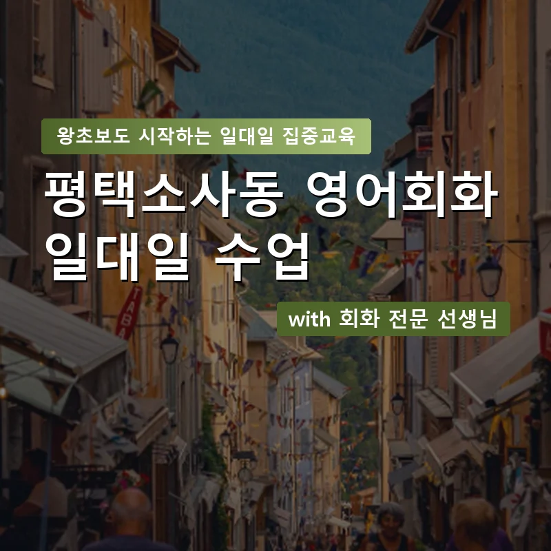 평택소사동 1:1 영어회화과외 — 영과전 1:1 맞춤 수업 안내 이미지