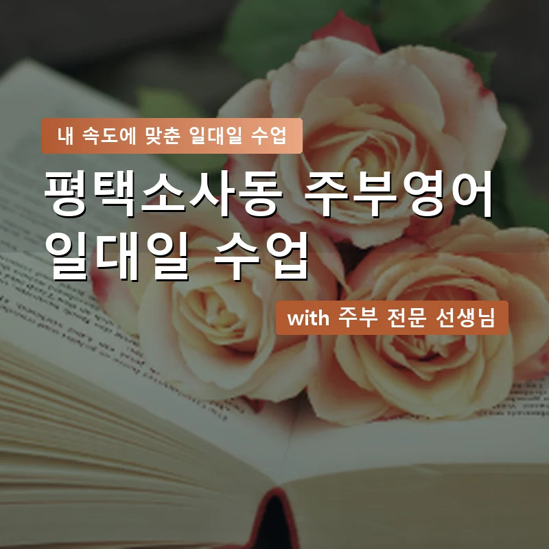 평택소사동 주부영어회화 — 영과전 1:1 맞춤 수업 안내 이미지