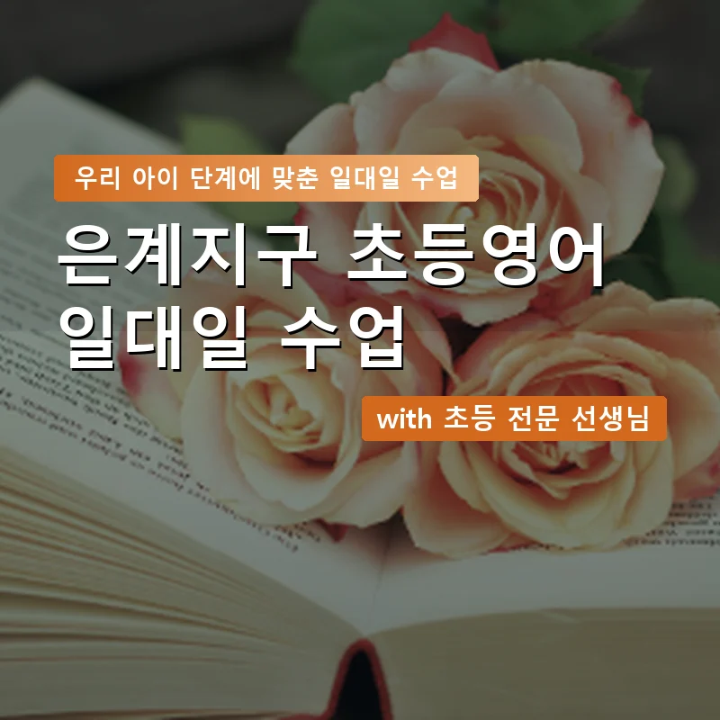 은계지구 초등학생영어회화 — 영과전 1:1 맞춤 수업 안내 이미지