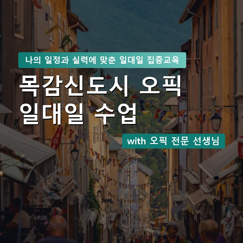 목감신도시 오픽과외 — 영과전 1:1 맞춤 수업 안내 이미지