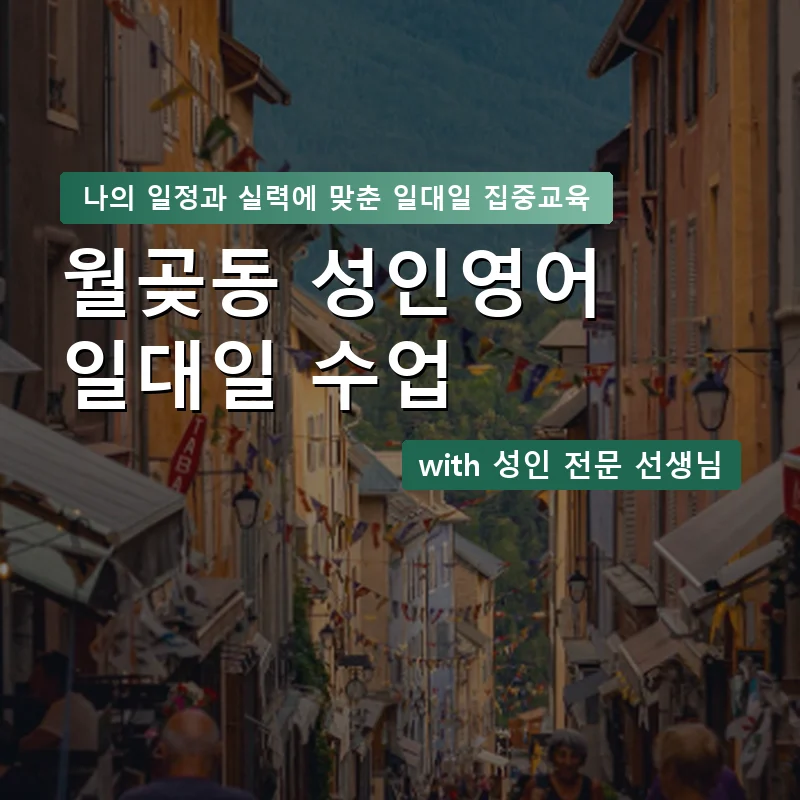 월곶동 성인영어과외 — 영과전 1:1 맞춤 수업 안내 이미지