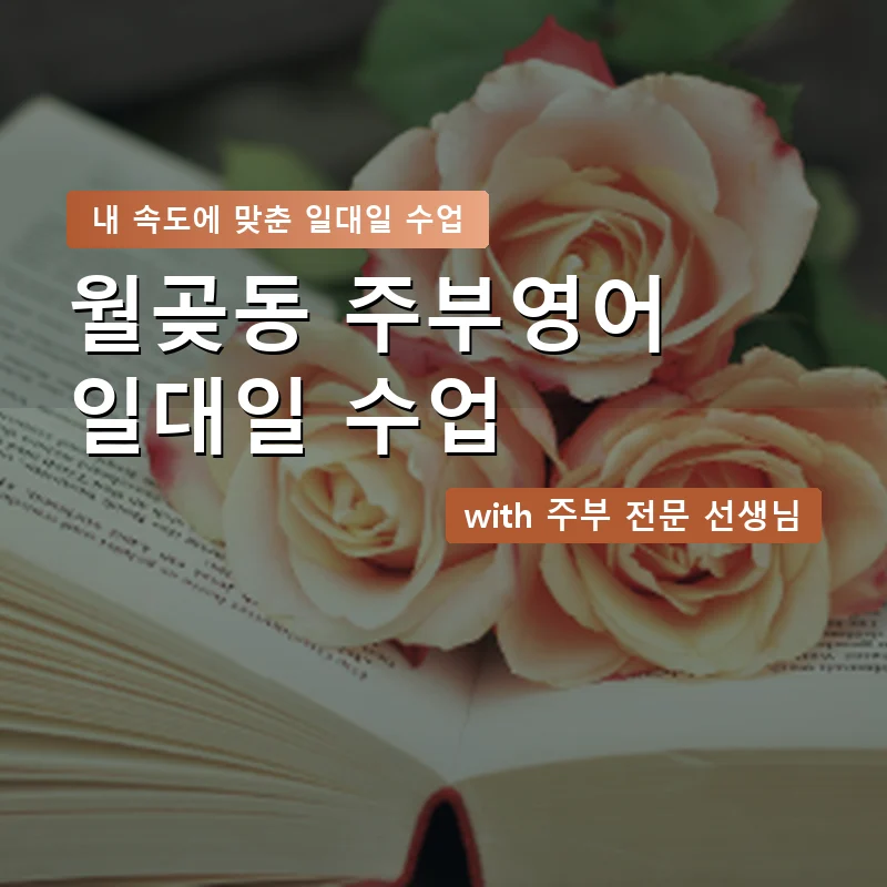 월곶동 주부영어회화 — 영과전 1:1 맞춤 수업 안내 이미지