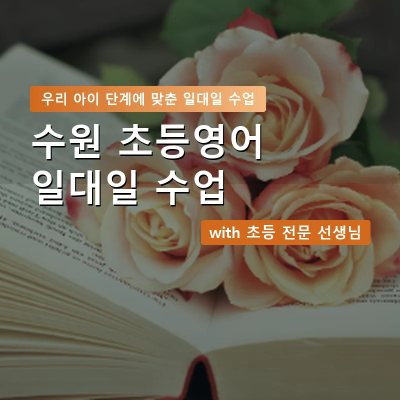 수원 초등학생영어회화 — 영과전 1:1 맞춤 수업 안내 이미지