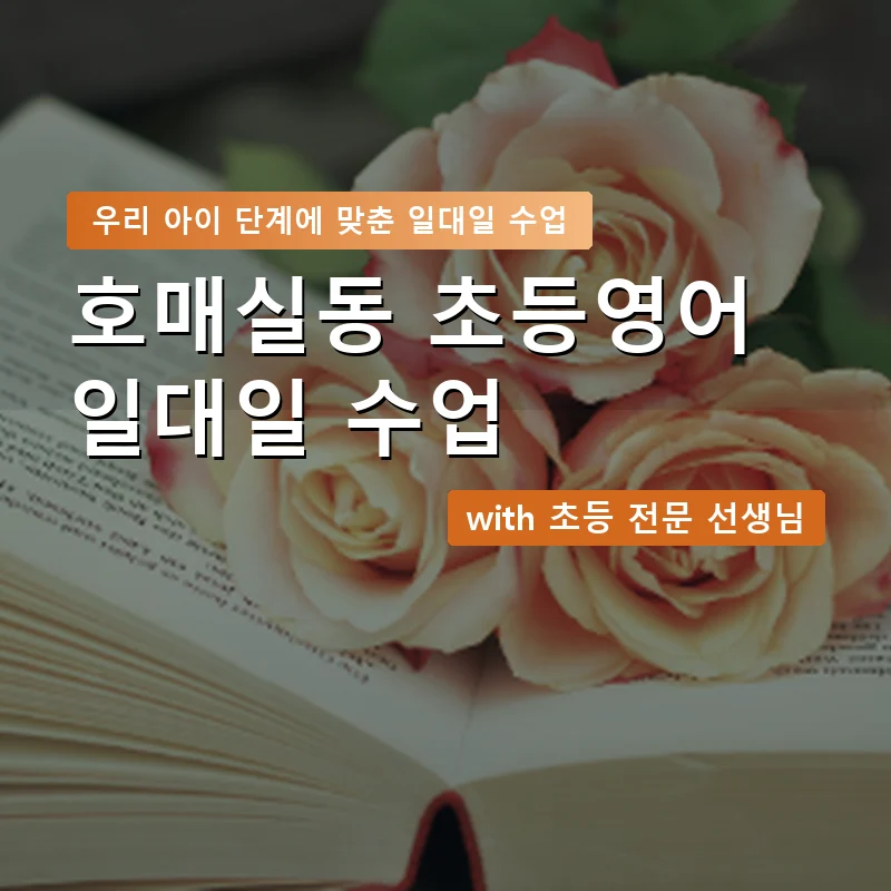 호매실동 초등학생영어회화 — 영과전 1:1 맞춤 수업 안내 이미지