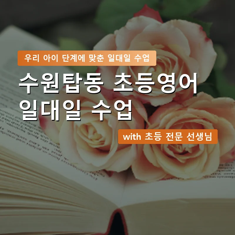 수원탑동 초등학생영어회화 — 영과전 1:1 맞춤 수업 안내 이미지