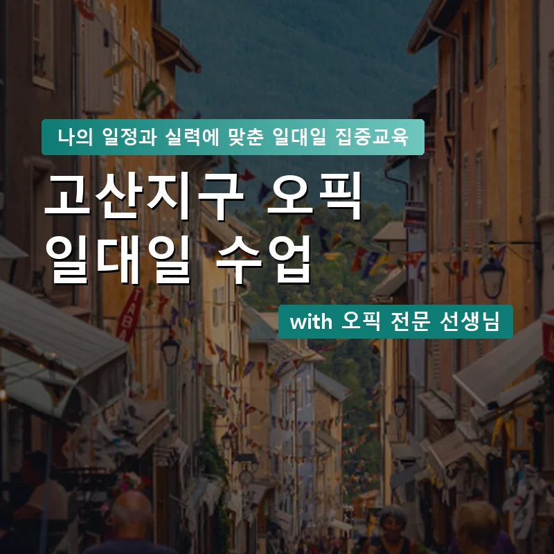 고산지구 오픽과외 — 영과전 1:1 맞춤 수업 안내 이미지
