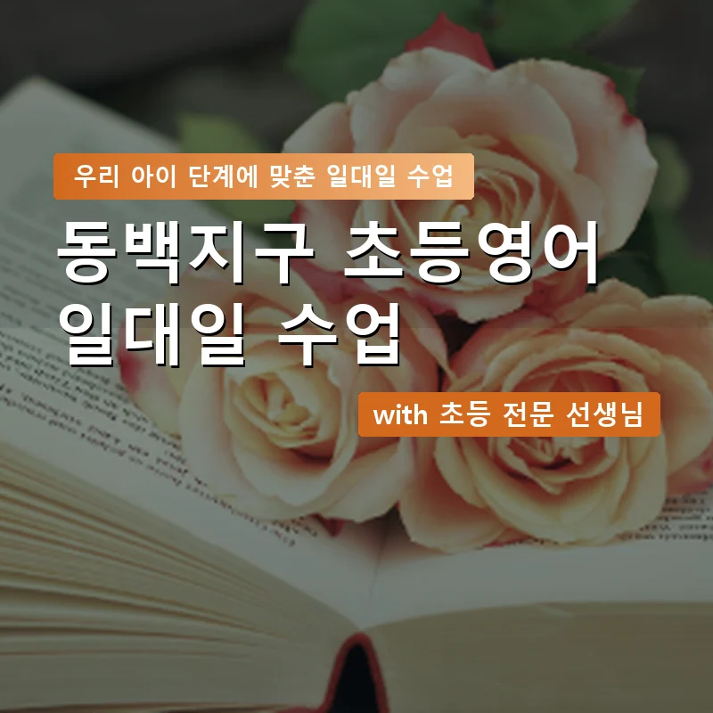 동백지구 초등학생영어회화 — 영과전 1:1 맞춤 수업 안내 이미지