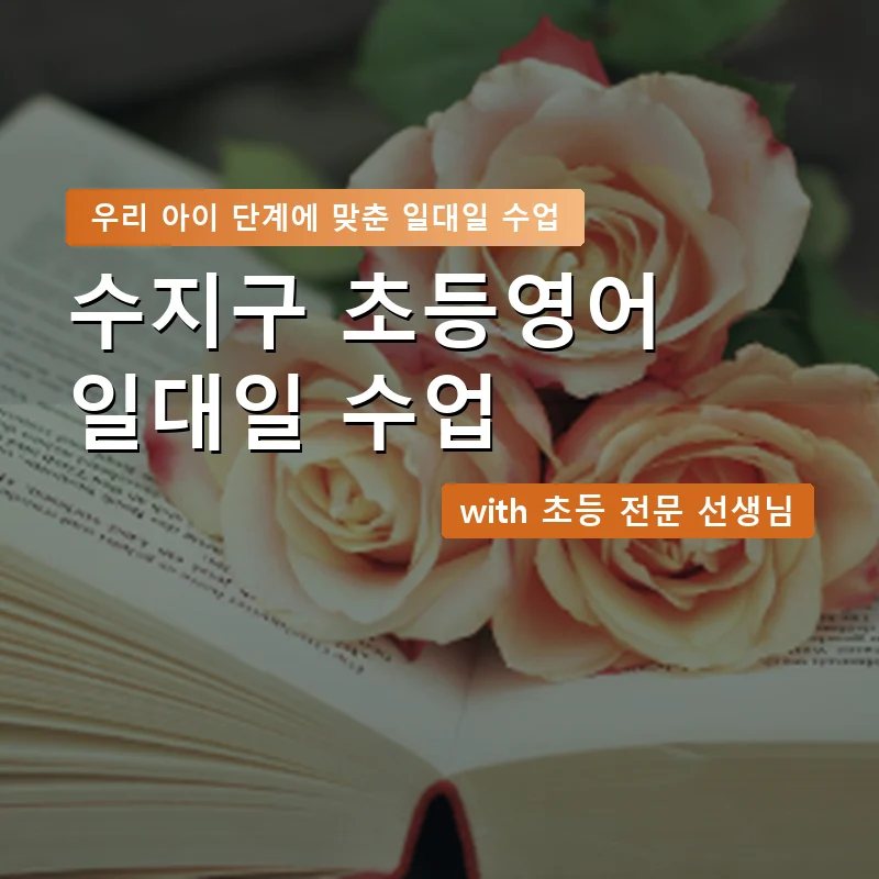 수지구 초등학생영어회화 — 영과전 1:1 맞춤 수업 안내 이미지