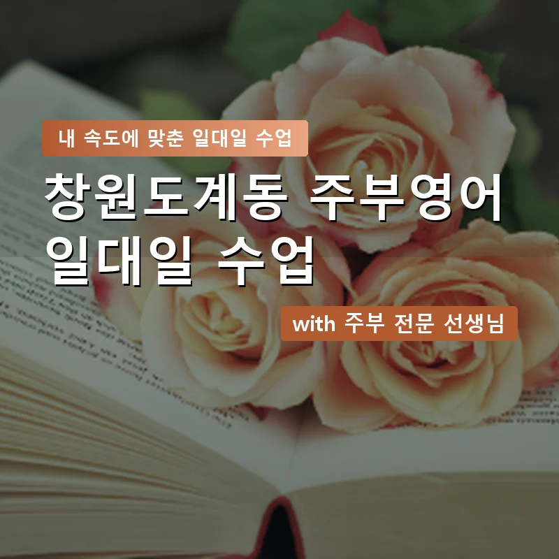 창원도계동 주부영어회화 — 영과전 1:1 맞춤 수업 안내 이미지