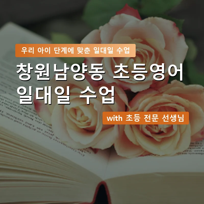창원남양동 초등학생영어회화 — 영과전 1:1 맞춤 수업 안내 이미지