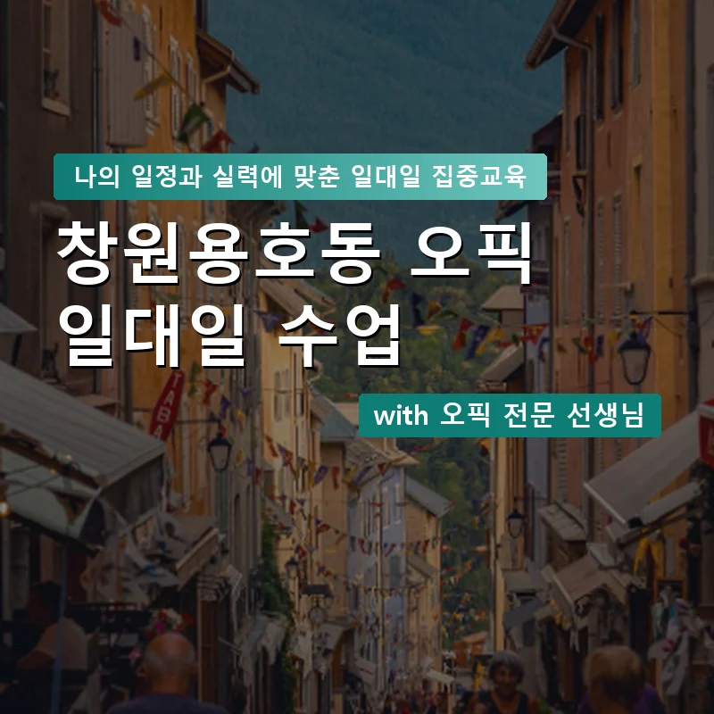 창원용호동 오픽과외 — 영과전 1:1 맞춤 수업 안내 이미지