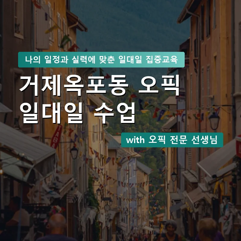 거제옥포동 오픽과외 — 영과전 1:1 맞춤 수업 안내 이미지