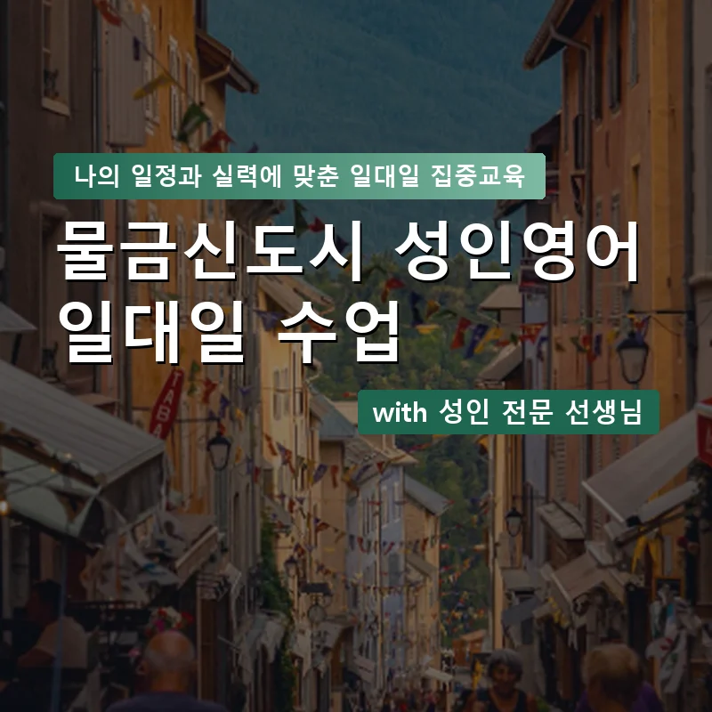물금신도시 성인영어과외 — 영과전 1:1 맞춤 수업 안내 이미지