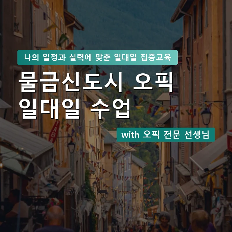 물금신도시 오픽과외 — 영과전 1:1 맞춤 수업 안내 이미지