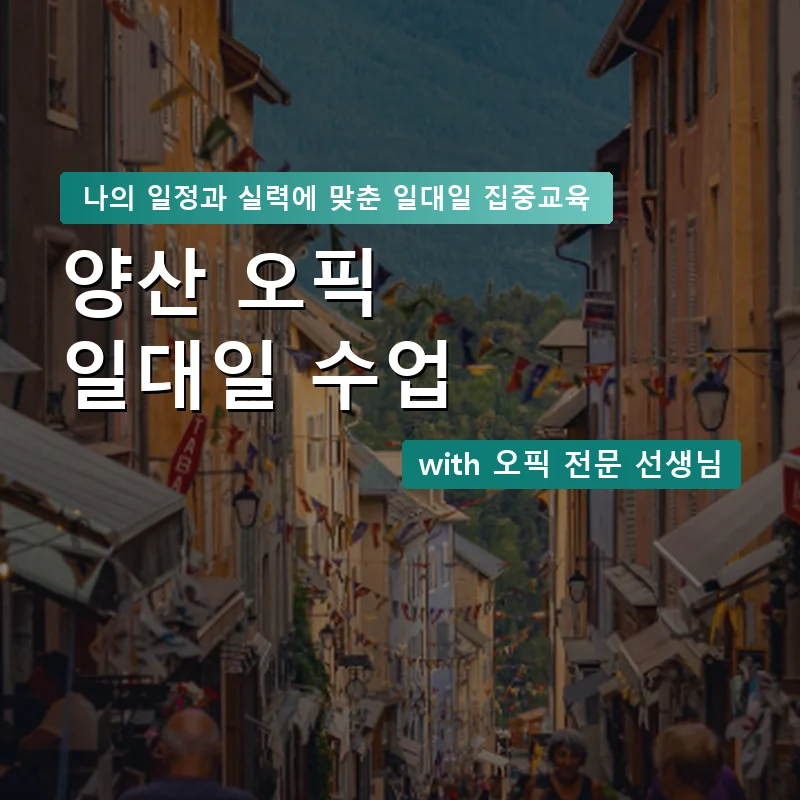 양산 오픽과외 — 영과전 1:1 맞춤 수업 안내 이미지