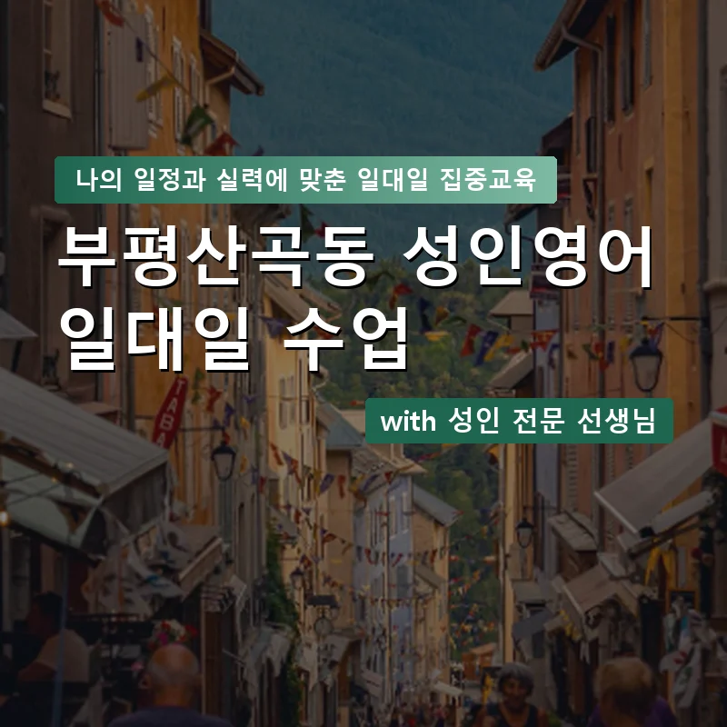 부평산곡동 성인영어과외 — 영과전 1:1 맞춤 수업 안내 이미지