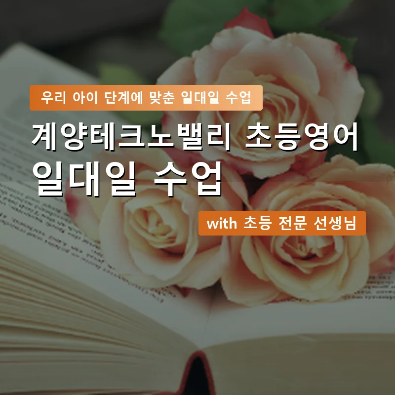 계양테크노밸리 초등학생영어회화 — 영과전 1:1 맞춤 수업 안내 이미지