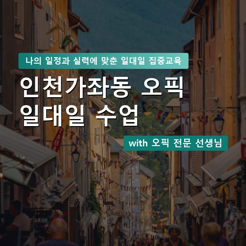 인천가좌동 오픽과외 — 영과전 1:1 맞춤 수업 안내 이미지