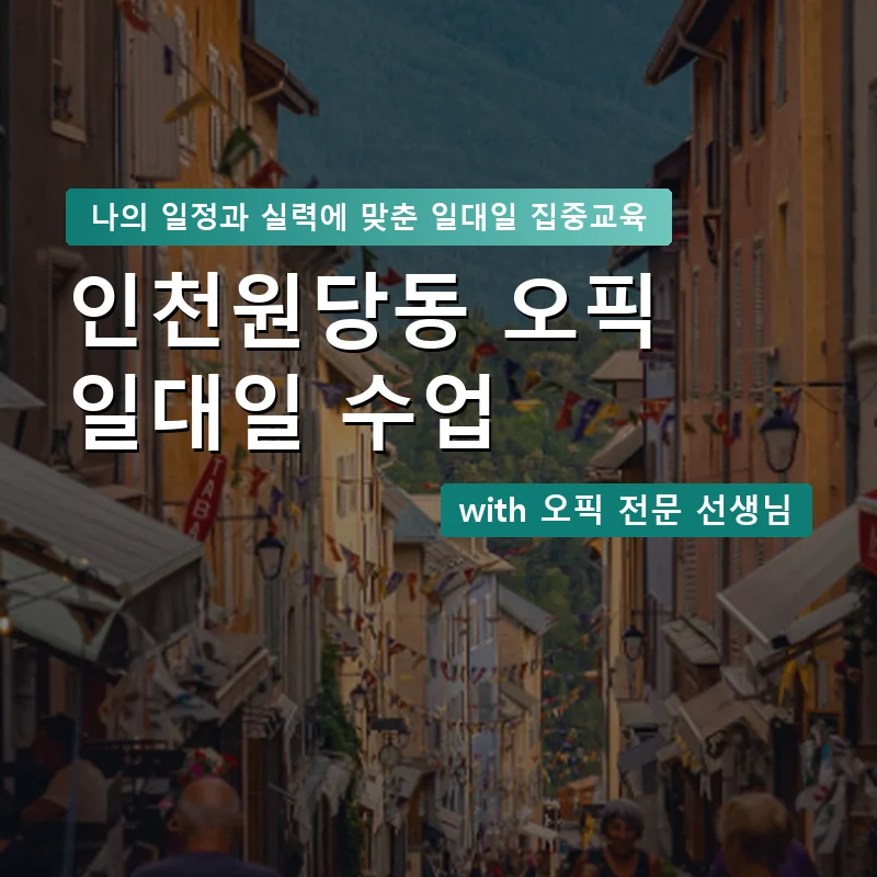 인천원당동 오픽과외 — 영과전 1:1 맞춤 수업 안내 이미지