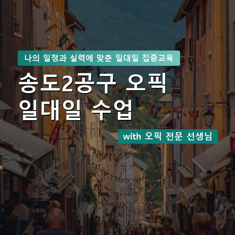 송도2공구 오픽과외 — 영과전 1:1 맞춤 수업 안내 이미지