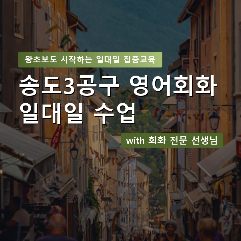 송도3공구 1:1 영어회화과외 — 영과전 1:1 맞춤 수업 안내 이미지