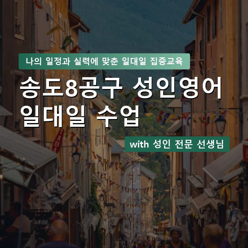송도8공구 성인영어과외 — 영과전 1:1 맞춤 수업 안내 이미지