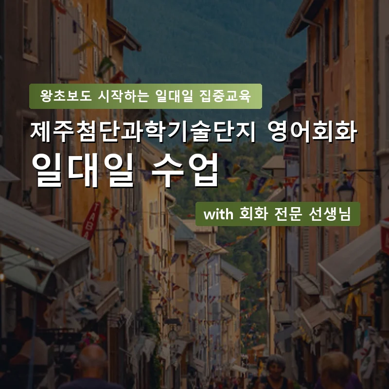 제주첨단과학기술단지 1:1 영어회화과외 — 영과전 1:1 맞춤 수업 안내 이미지