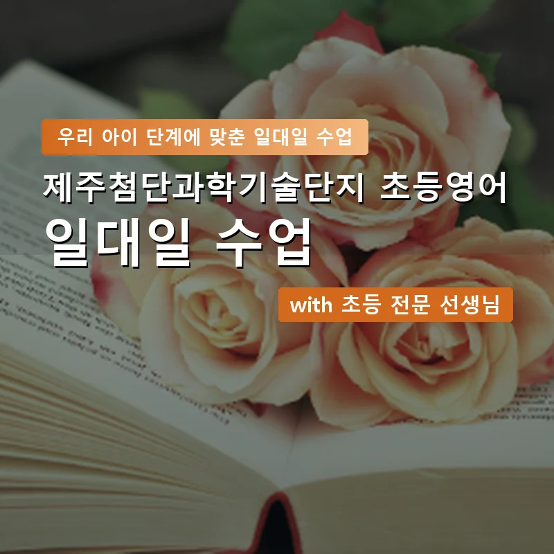 제주첨단과학기술단지 초등학생영어회화 — 영과전 1:1 맞춤 수업 안내 이미지