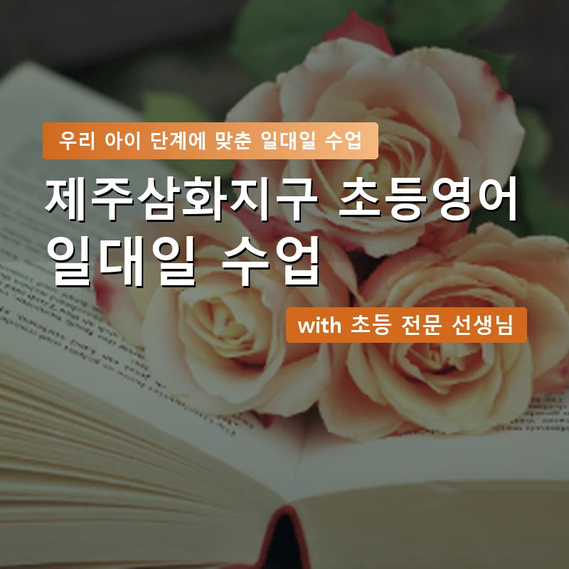 제주삼화지구 초등학생영어회화 — 영과전 1:1 맞춤 수업 안내 이미지