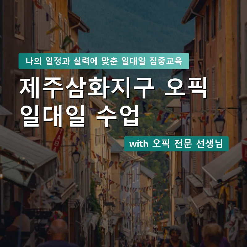 제주삼화지구 오픽과외 — 영과전 1:1 맞춤 수업 안내 이미지