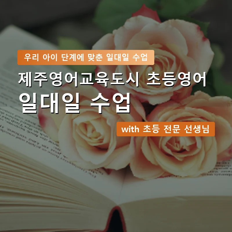 제주영어교육도시 초등학생영어회화 — 영과전 1:1 맞춤 수업 안내 이미지