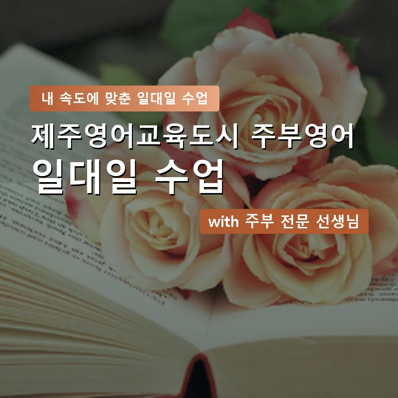 제주영어교육도시 주부영어회화 — 영과전 1:1 맞춤 수업 안내 이미지