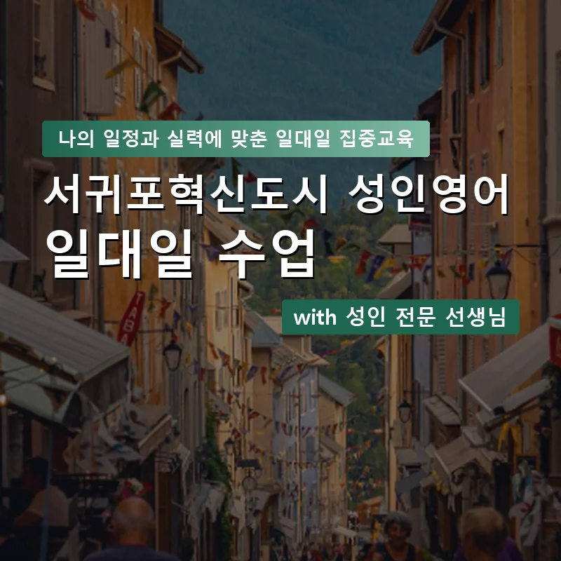 서귀포혁신도시 성인영어과외 — 영과전 1:1 맞춤 수업 안내 이미지